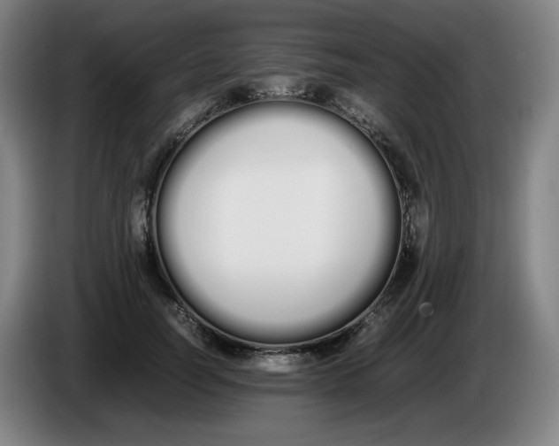 X0000086340746200704202101
