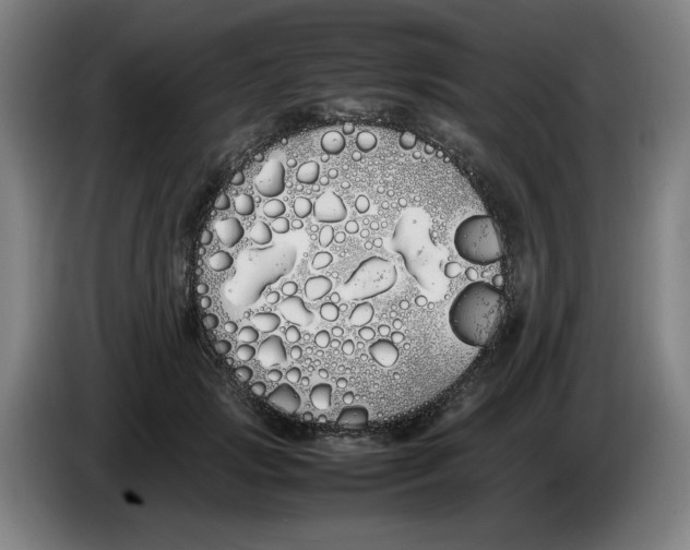 X0000086340749200704202101