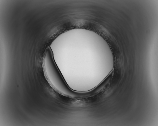 X0000086340750200704202101