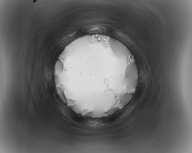 X0000086340753200704202101