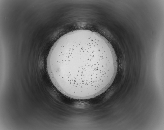 X0000086340754200704202101