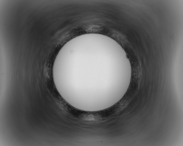X0000086340755200704202101