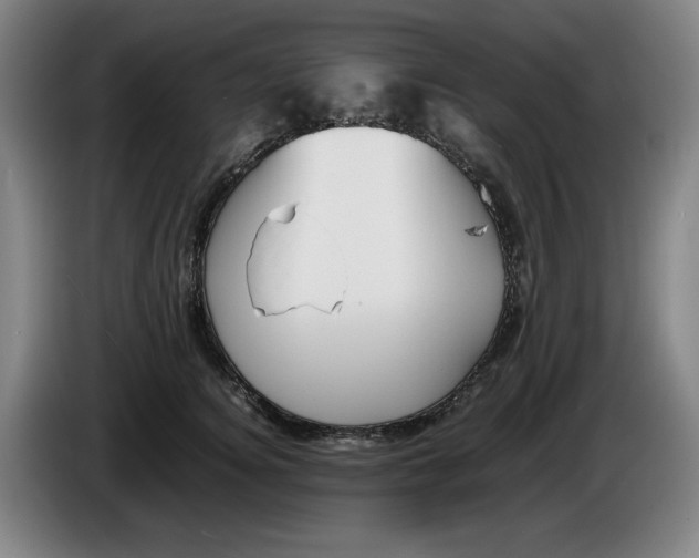 X0000086340756200704202101