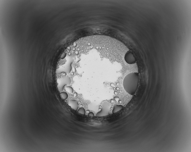 X0000086340757200704202101