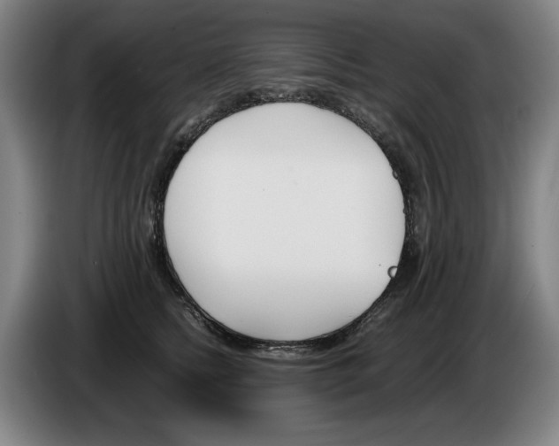 X0000086340758200704202101