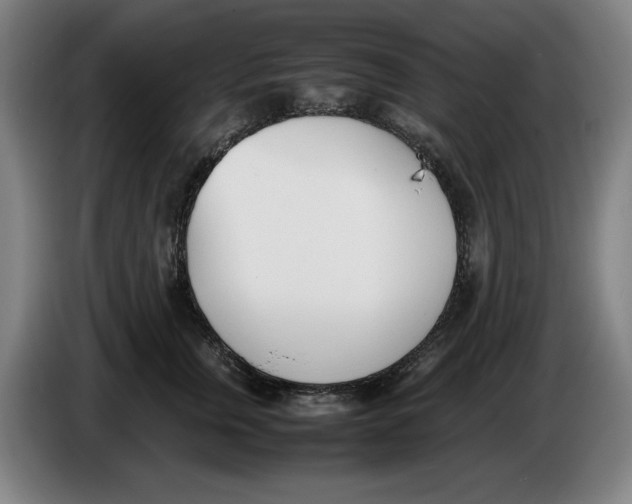 X0000086340759200704202101