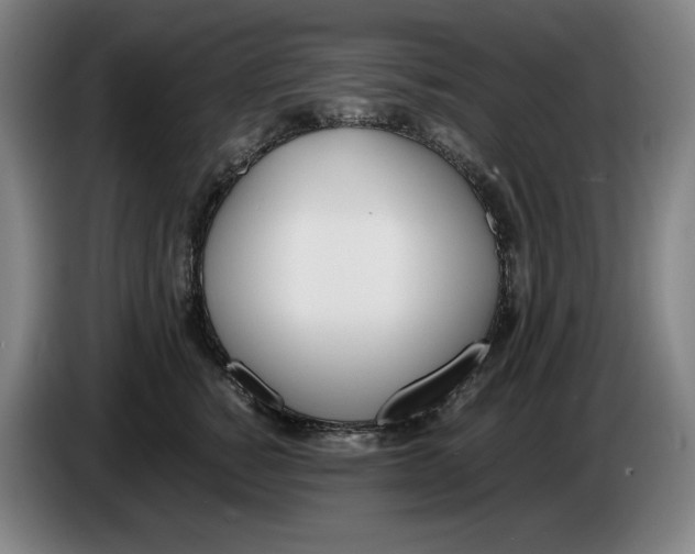 X0000086340760200704202101