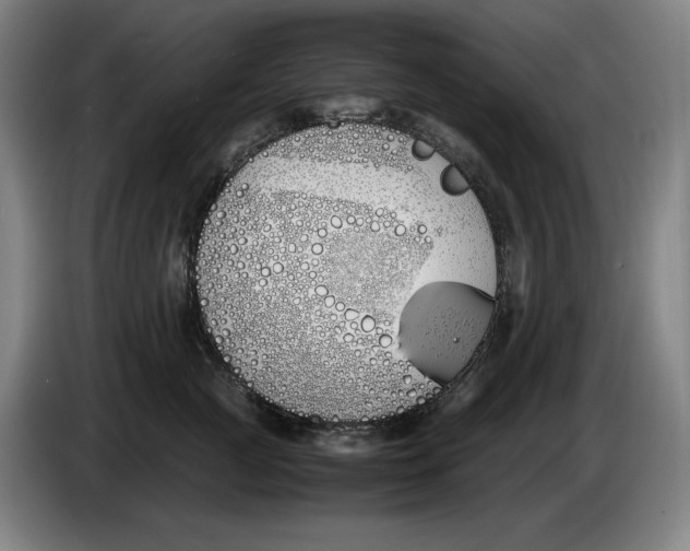 X0000086340761200704202101