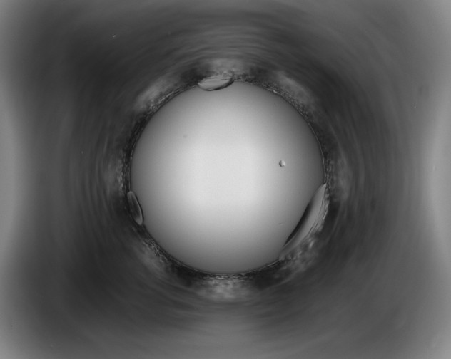 X0000086340762200704202101