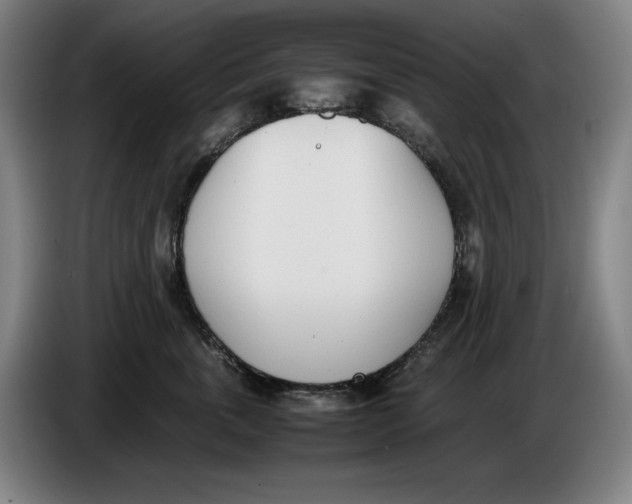 X0000086340763200704202101