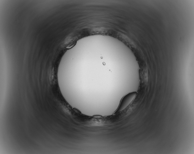 X0000086340764200704202101