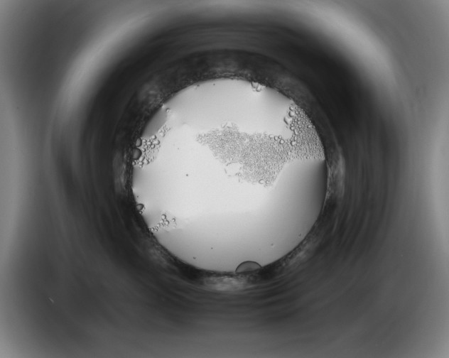 X0000086340765200704202101