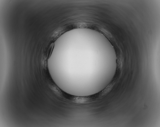 X0000086340766200704202101