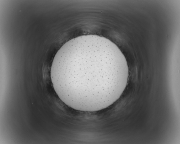 X0000086340770200704202100