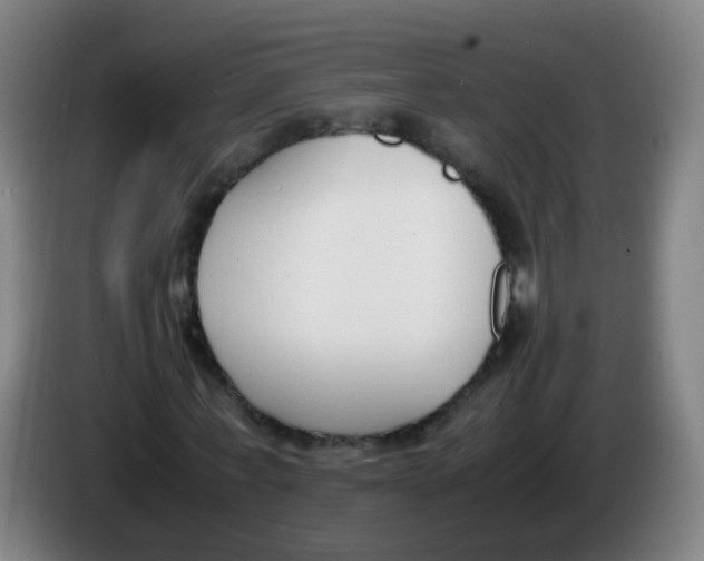 X0000086340771200704202100