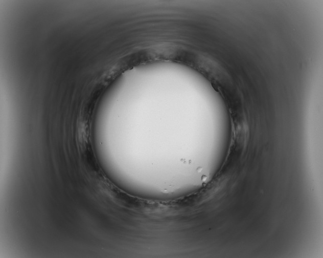 X0000086340772200704202100