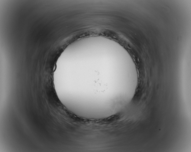 X0000086340773200704202100