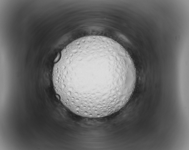 X0000086340774200704202100