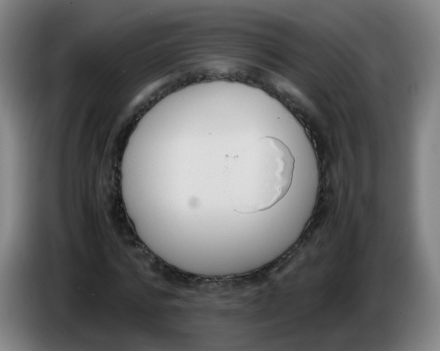 X0000086340776200704202100