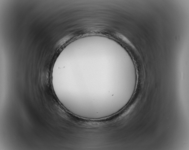 X0000086340777200704202100