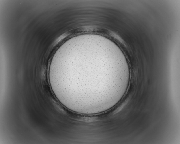 X0000086340778200704202100