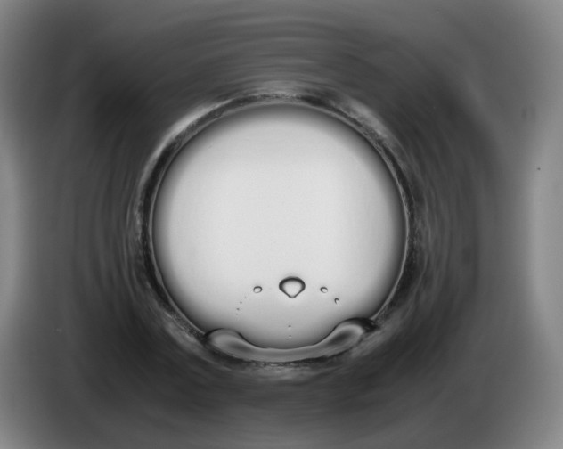 X0000086340779200704202100