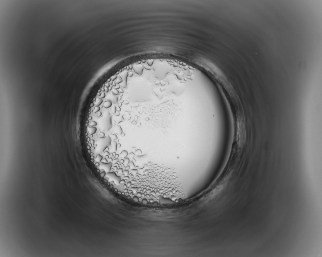 X0000086340780200704202100