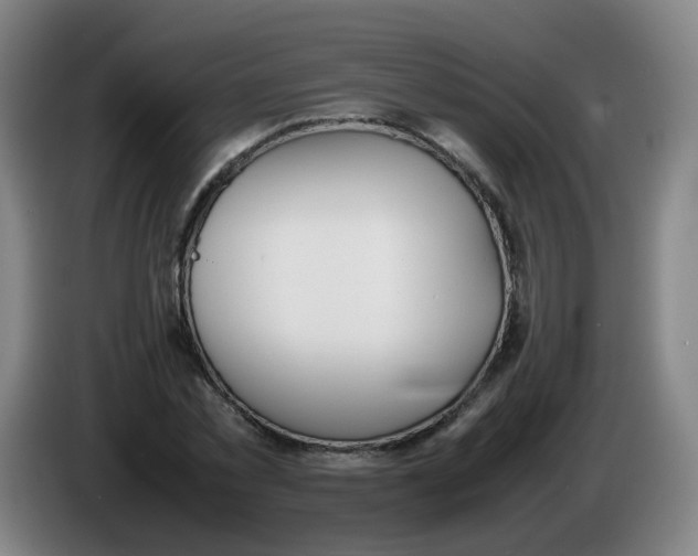 X0000086340781200704202100