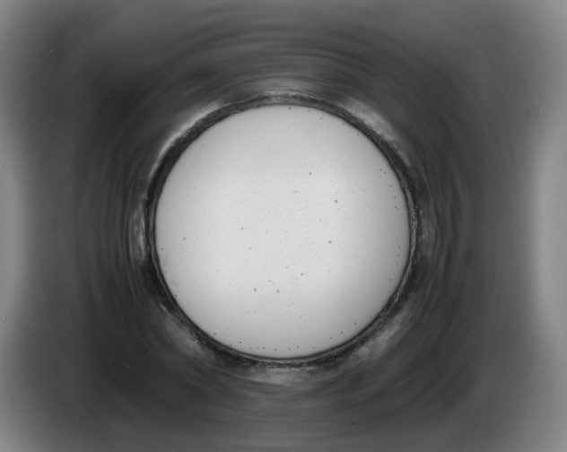 X0000086340782200704202100