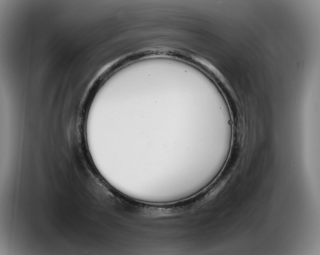 X0000086340783200704202100