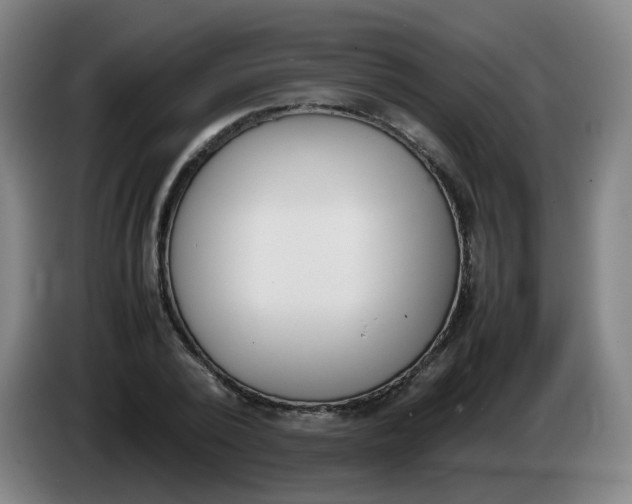 X0000086340784200704202100