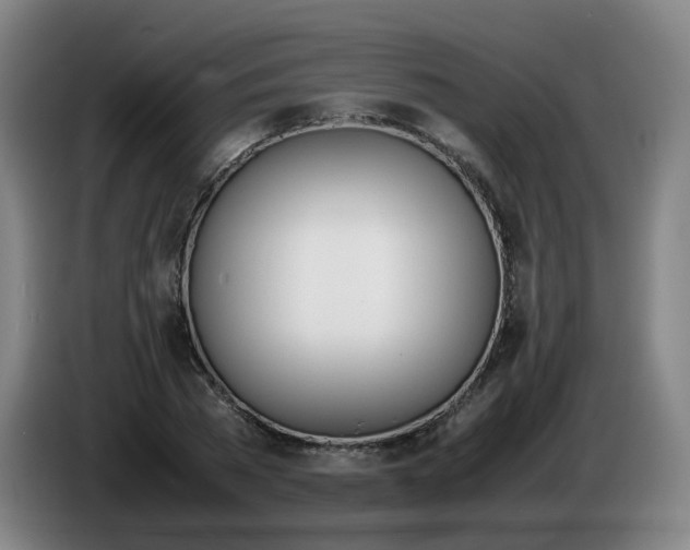 X0000086340785200704202100