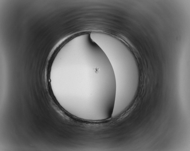 X0000086340788200704202100
