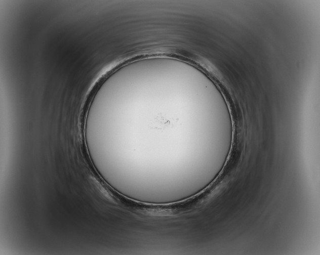 X0000086340789200704202100