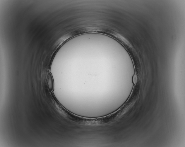 X0000086340793200704202100