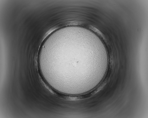 X0000086340794200704202100