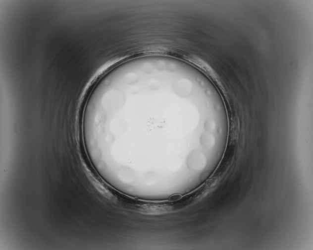 X0000086340795200704202100