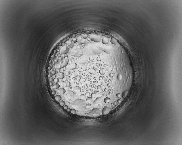 X0000086340798200704202100