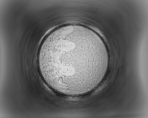 X0000086340799200704202100