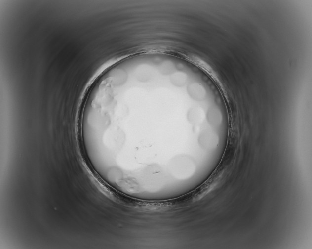 X0000086340803200704202100