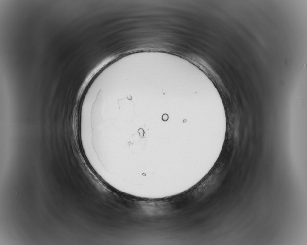 X0000086340804200704202100