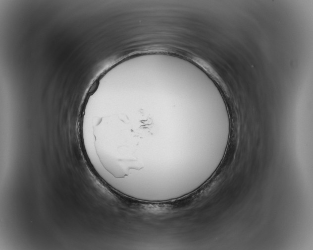 X0000086340805200704202100