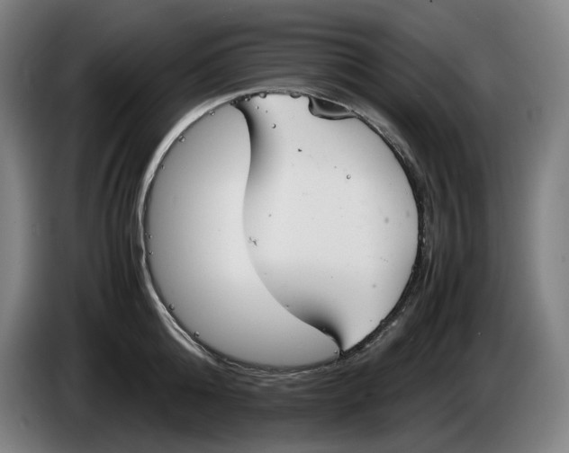 X0000086340808200704202100