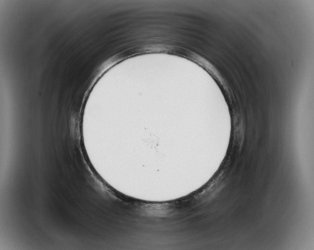 X0000086340810200704202100