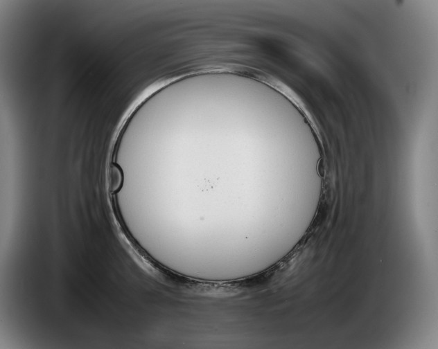 X0000086340811200704202100
