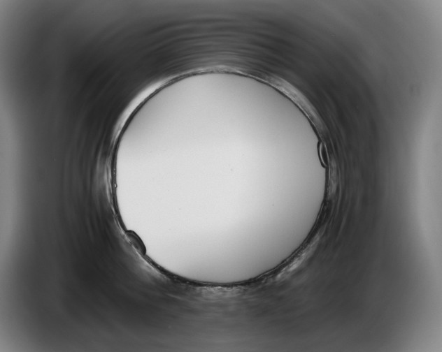 X0000086340812200704202100