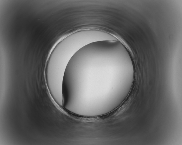 X0000086340813200704202100