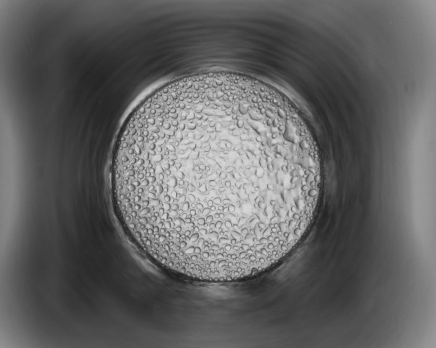 X0000086340814200704202100