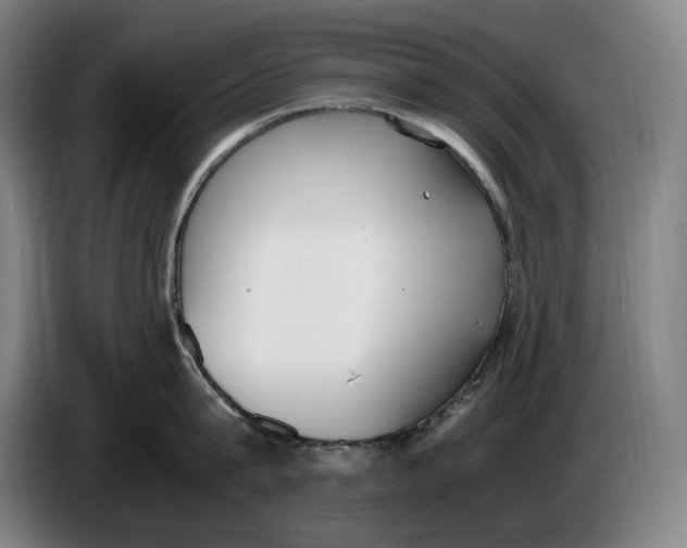 X0000086340815200704202100