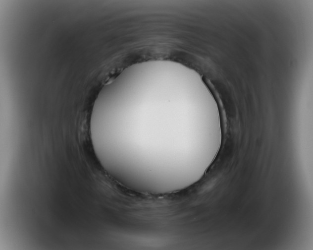 X0000086340818200704202059
